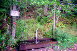 The Artesian Well, 1998 (21880 bytes)