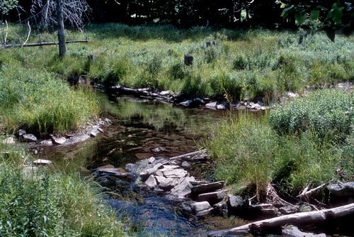 Sprague Brook pool, 1988 (21784 bytes)