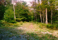 Crossroads towards Council House, 1998