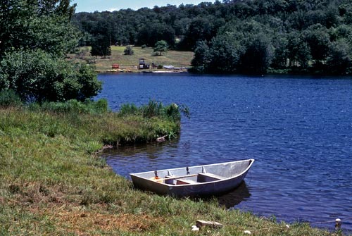 A view of the lake area, 1983