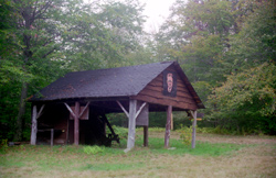 Teddy Roosevelt Program Shelter in 1998