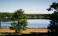 Deep Pond, 1998 (14079 bytes)