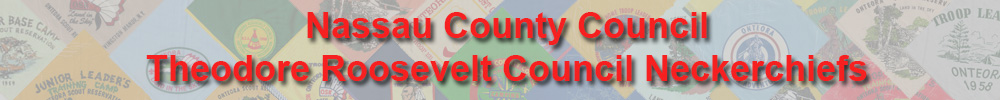 Council neckerchiefs
