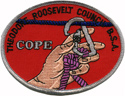 Undated COPE patch