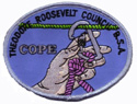 1998 COPE patch