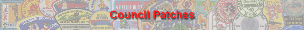 Council patches banner