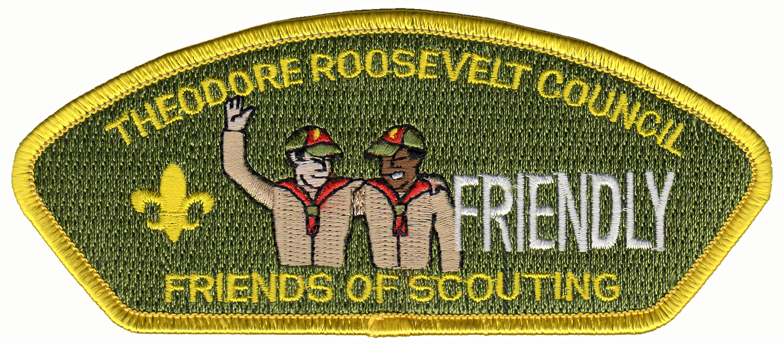 Friends of Scouting 2004 - Error