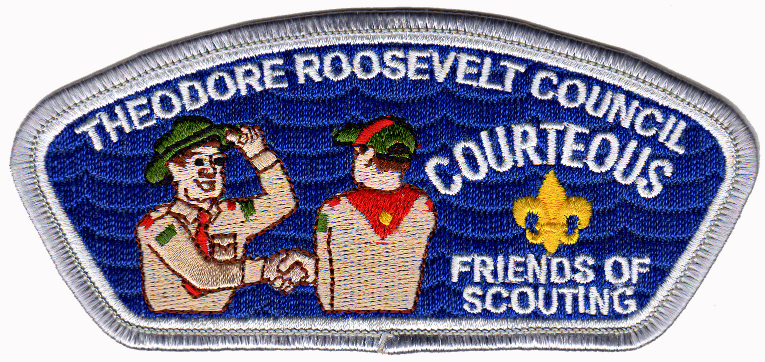 Friends of Scouting 2005 - Silver border