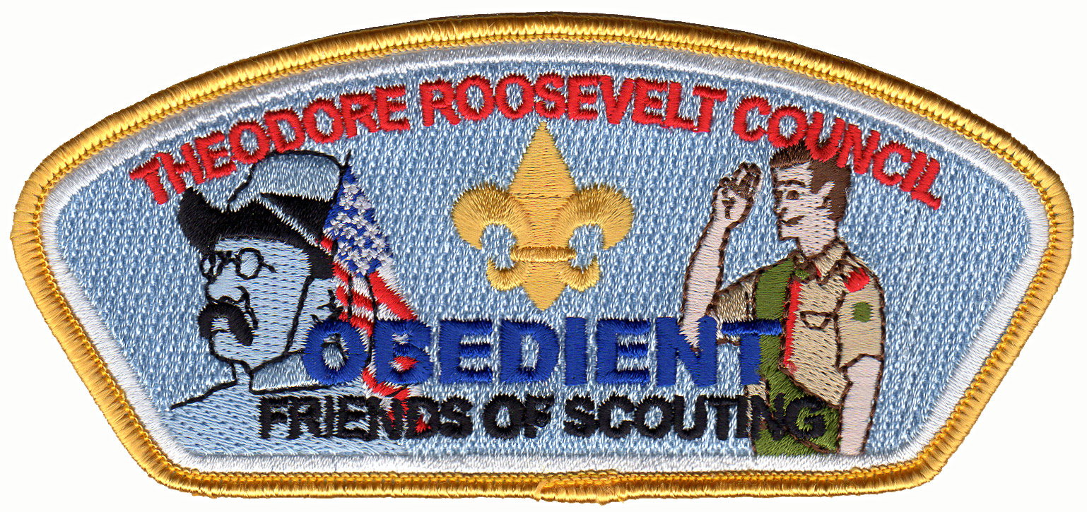 Friends of Scouting 2007 - Yellow border