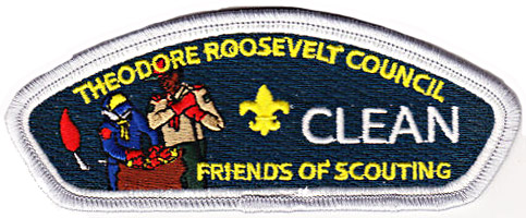 Friends of Scouting 2011 - Silver border