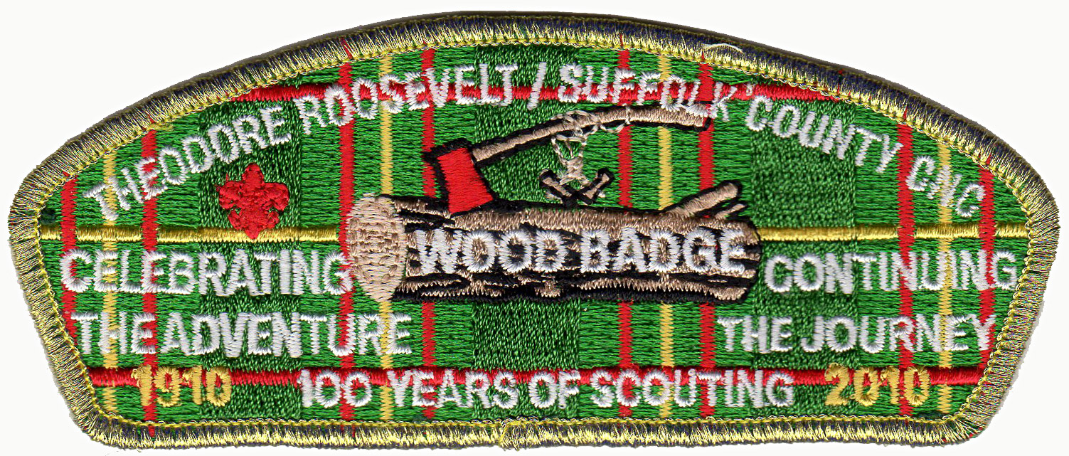 2010 Wood Badge - Gold