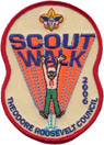 2006 Scoutwalk