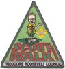 2009 Scoutwalk