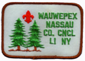 Undated patch