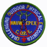 1986 COPE patch