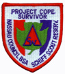 1996 COPE patch