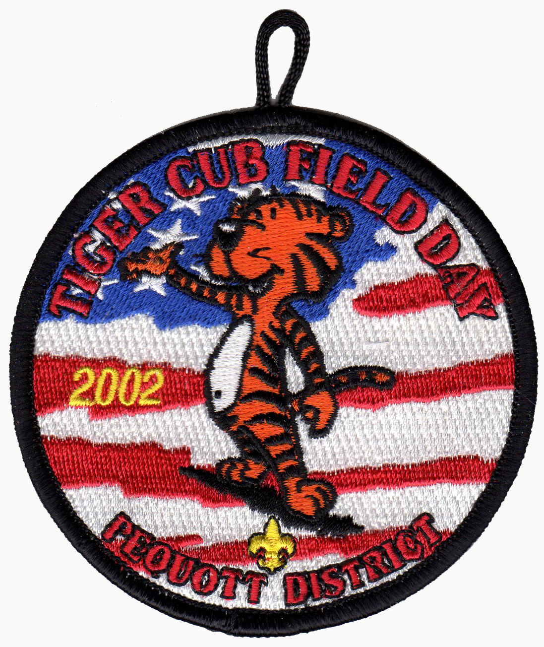 2002 Tiger Cub Field Day
