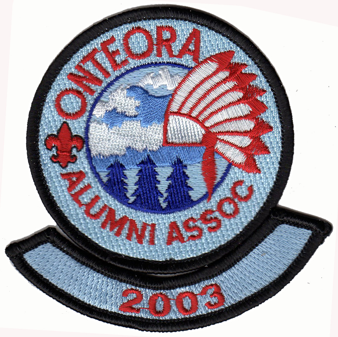 OAA patch - 2003 Charter Member