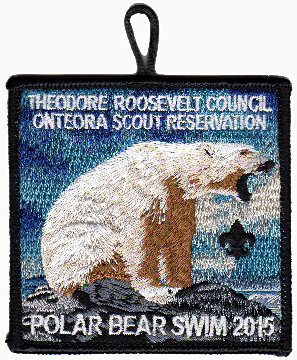 2015 Polar Bear Swim