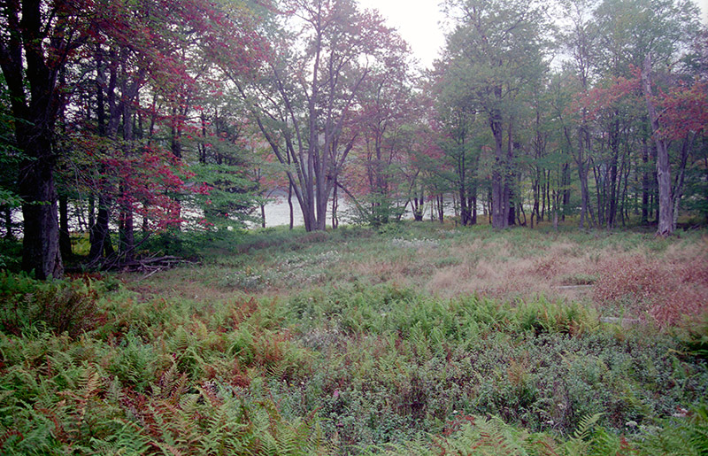 Former Amphitheater site (1998)