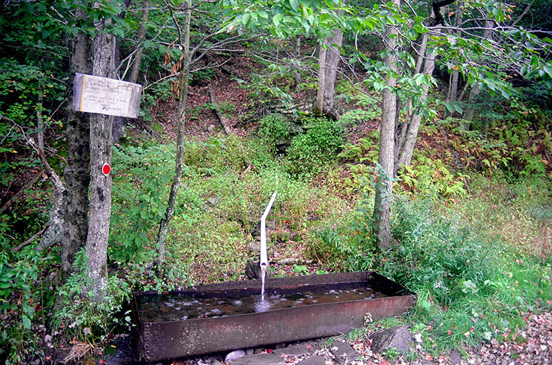 Artesian well (1998)