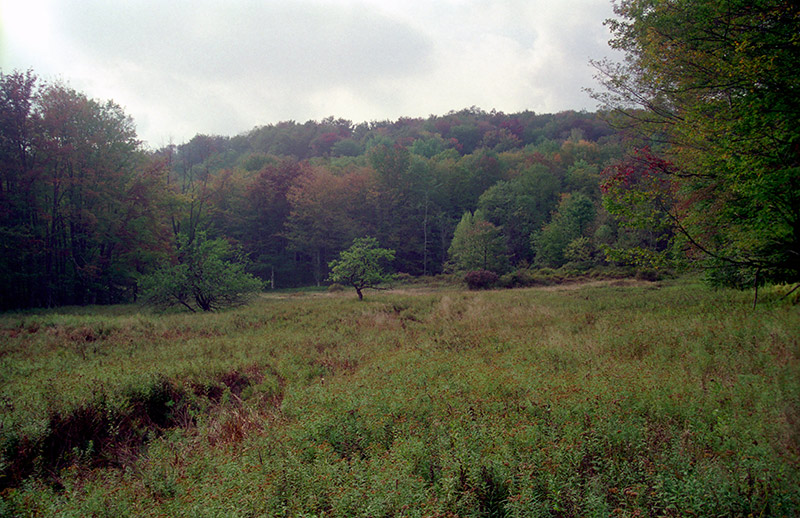 Buckskin Camp (1998)