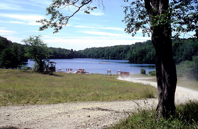 Looking towards Orchard Lake (1983)