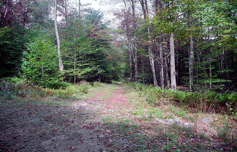 Road to Council House (1998)