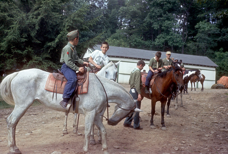 Stables (1960)