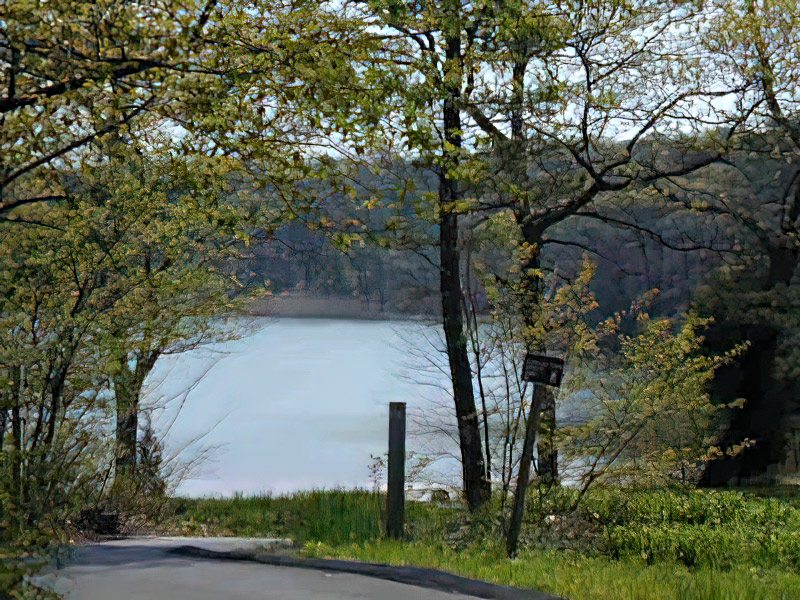 Deep Pond through the trees