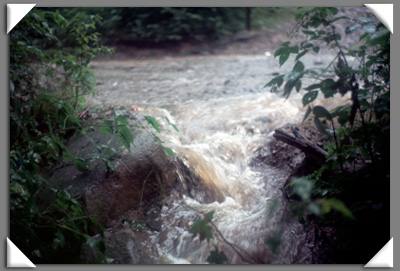 Flooded road and trail