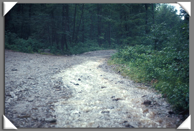 The road towards the lake