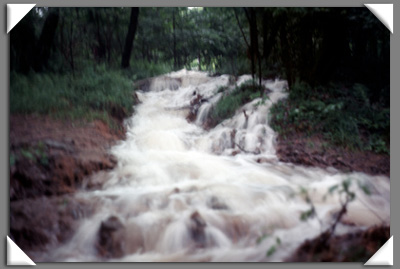 A very flooded trail