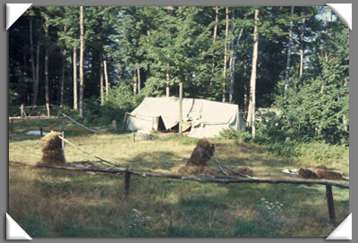 Teddy Roosevelt Staff Area