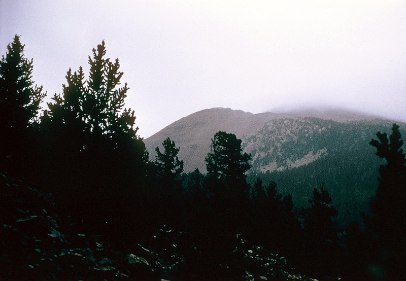 Baldy at first light