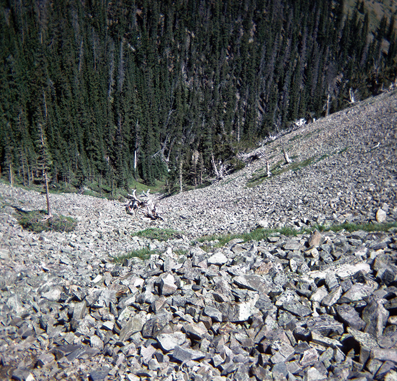 Looking back down the trail