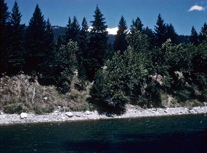 The Blackfoot River