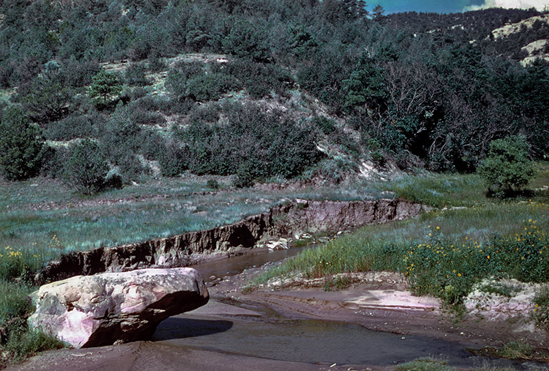 Washed-out stream banks