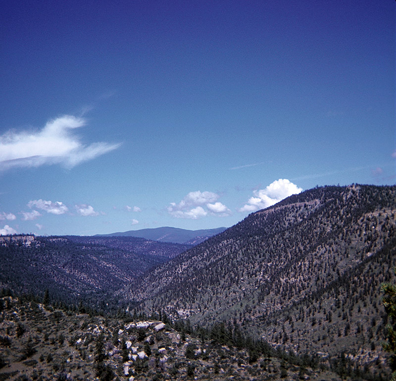 View from Skyline