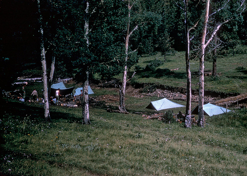 A beautiful setting for a campsite