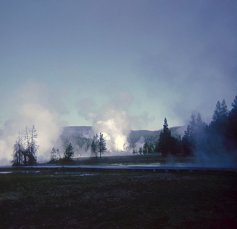 Dawn at Yellowstone