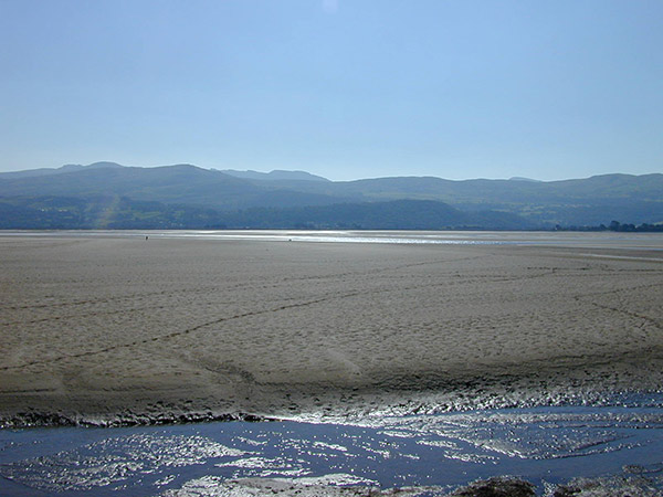 Tidal flats