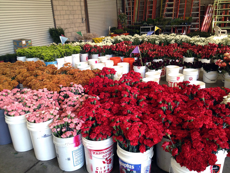 Roses in buckets