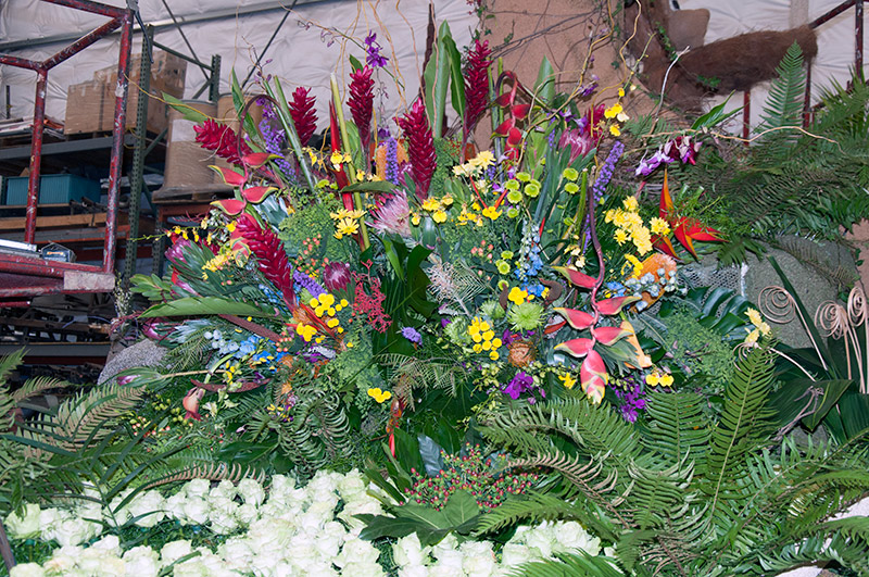Floral display Floral display