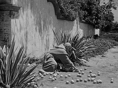 Padre Felipe tries to salvage the crop