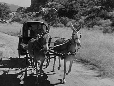 Diego and Bernardo set off to visit Torres